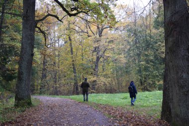 Güz Parkı, yürümek için bir yer.