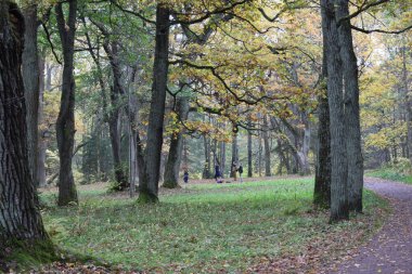 Güz Parkı, yürümek için bir yer.