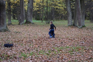 people in the park, autumn Park, a place for walking