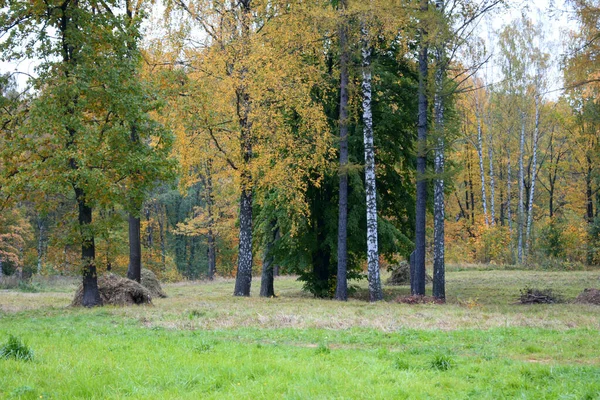 秋の公園 歩くための場所 — ストック写真