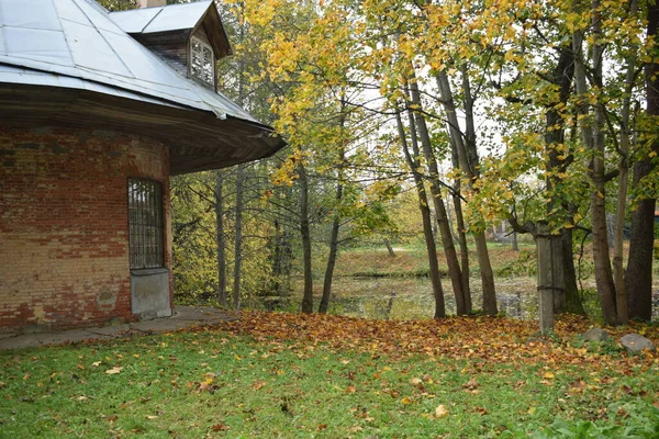 Jesienny Park Miejsce Spacerów — Zdjęcie stockowe