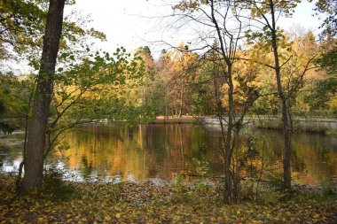 Güz Parkı, yürümek için bir yer.