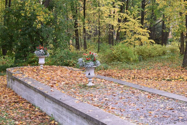 Güz Parkı Yürümek Için Bir Yer — Stok fotoğraf