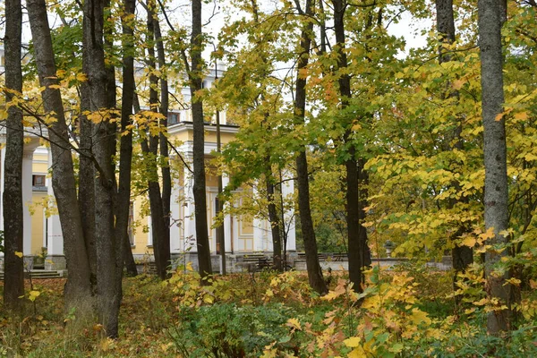 Güz Parkı, yürümek için bir yer.