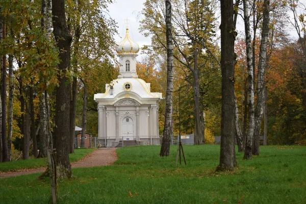 Церковь Парк Храм Место Поклонения Религия — стоковое фото