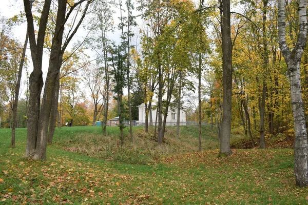 Parque Otoño Lugar Para Caminar —  Fotos de Stock