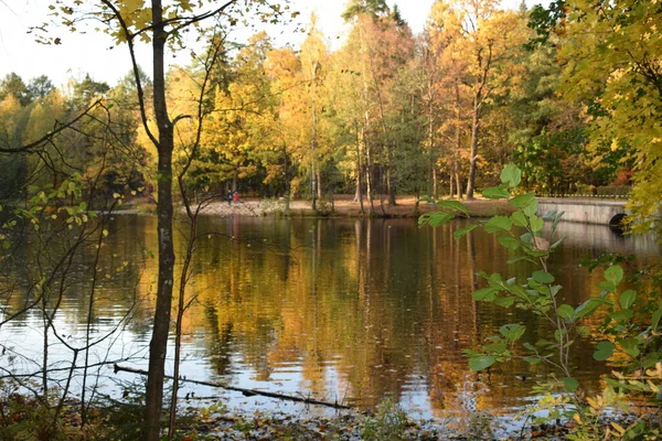 Podzim Park Místo Pro Procházky — Stock fotografie