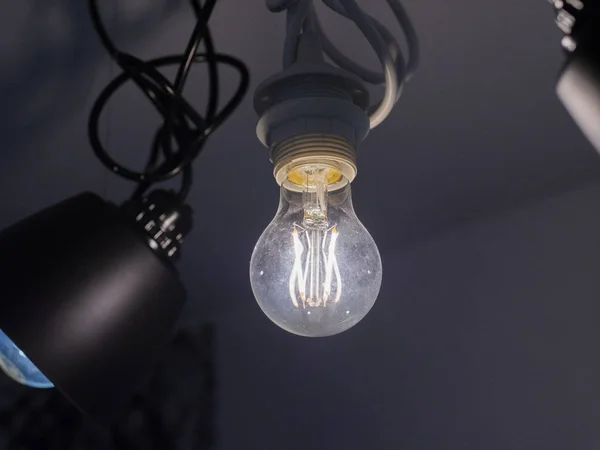 Light bulb Edison close-up. Diode lamps in the loft style room. The light in the dust.