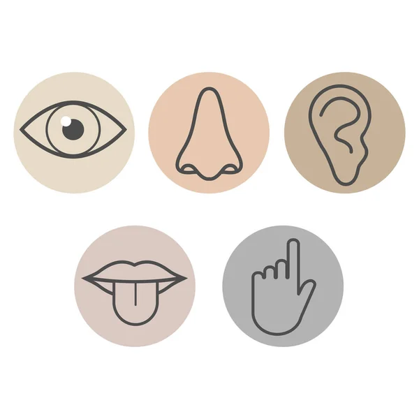 Human Senses Icon Vector Illustration Flat — Stock Vector