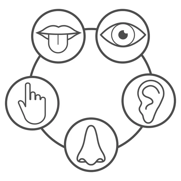 Human Senses Icon Vector Illustration Flat — Stock Vector