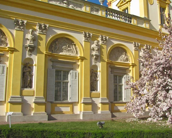 Royal Wilanow Palace in Warsaw, Poland. Magnolia tree. — Stock Photo, Image