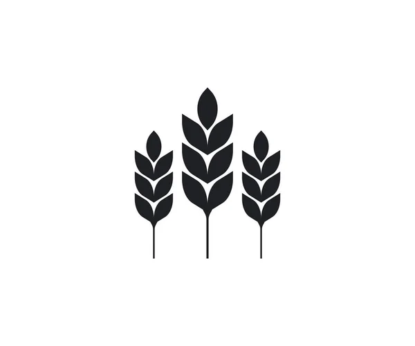 Ilustración Vectorial Diseño Plano Trigo Agricultura Grano Cultivo Icono — Vector de stock