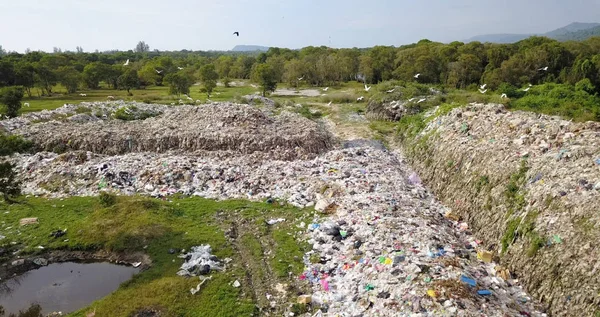 bird\'s eye view of garbage mountain from dji mavic drone in the industrial zone. here is a flock of white birds. living in the garbage dump hill. The flock live in the forest near the garbage zone.
