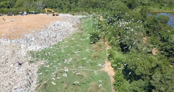 bird\'s eye view of garbage mountain from dji mavic drone in the industrial zone. There is a flock of white birds. living in the garbage dump hill. The flock live in the forest near the garbage zone.