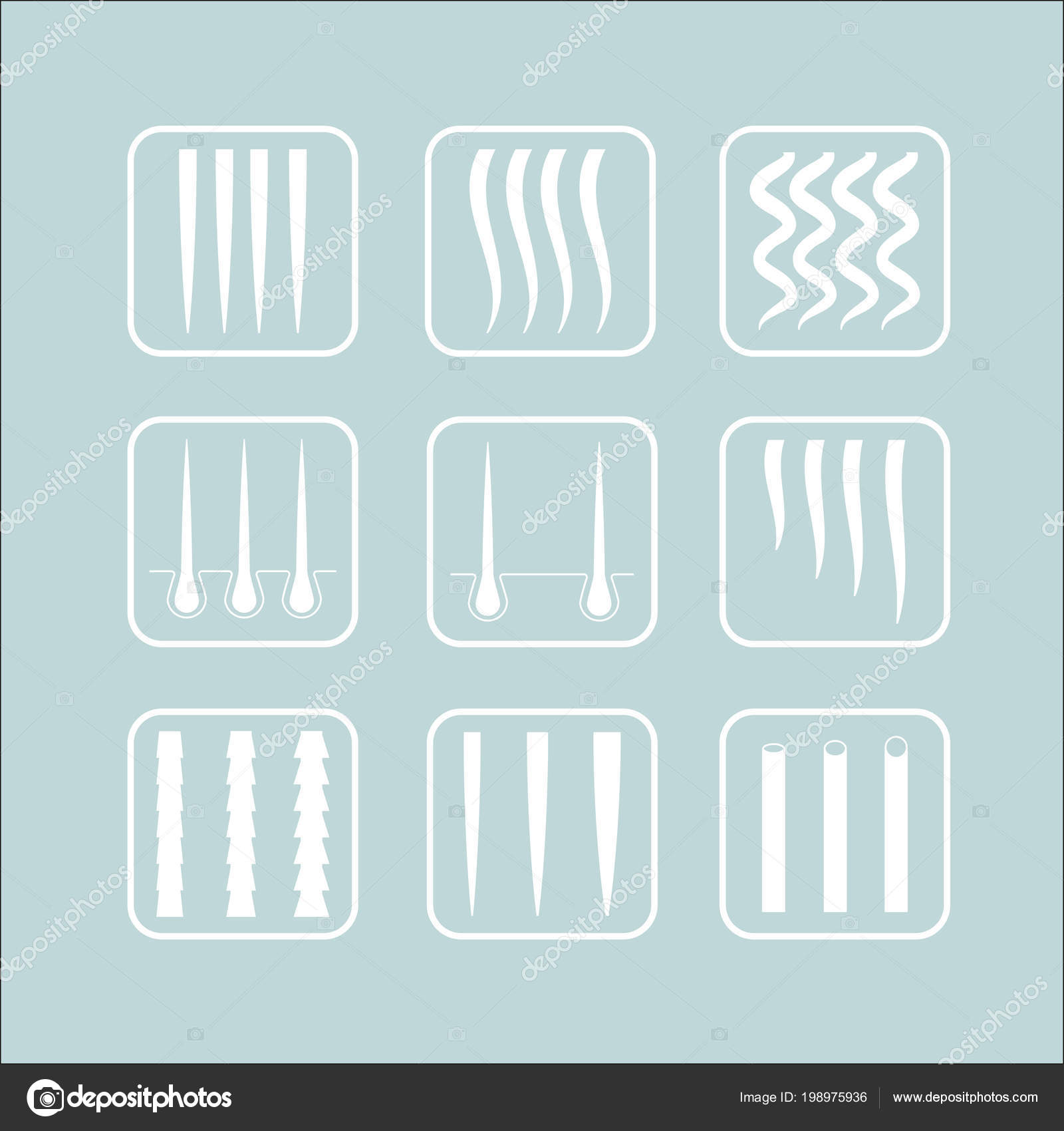 Vector Illustration of a Hair Types chart displaying all types and labeled.  Stock Vector Image by ©cuppuccino #198975936