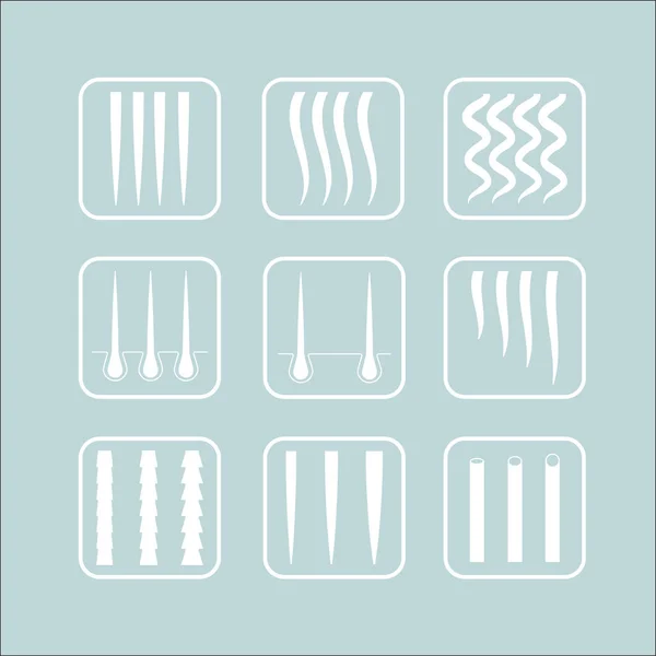 Ilustración vectorial de un gráfico de tipos de cabello que muestra todos los tipos y está etiquetado . — Vector de stock