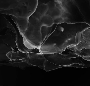 Siyah ve beyaz mürekkep, boya, soyut. Portre resim. Renkli soyut resim arka plan. Alkol mürekkep modern soyut resim, modern çağdaş sanat.