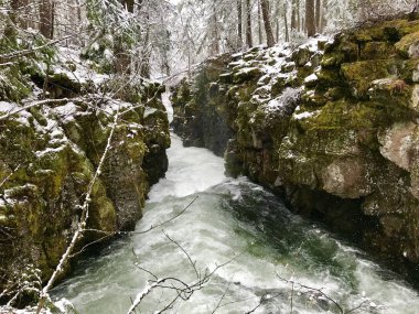 Rogue Nehri üzerinde geç bahar kar