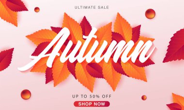 renkli düşen yapraklar, vektör, illüstrasyon ile sonbahar satışı büyük başlığı