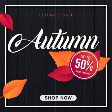 renkli düşen yapraklar, vektör, illüstrasyon ile sonbahar satışı büyük başlığı
