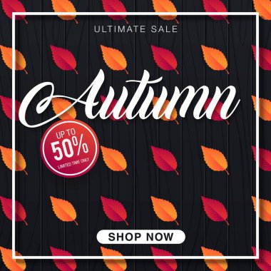 renkli düşen yapraklar, vektör, illüstrasyon ile sonbahar satışı büyük başlığı