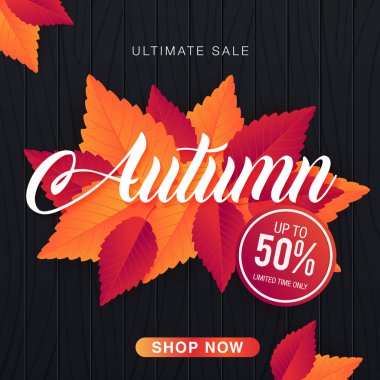 renkli düşen yapraklar, vektör, illüstrasyon ile sonbahar satışı büyük başlığı
