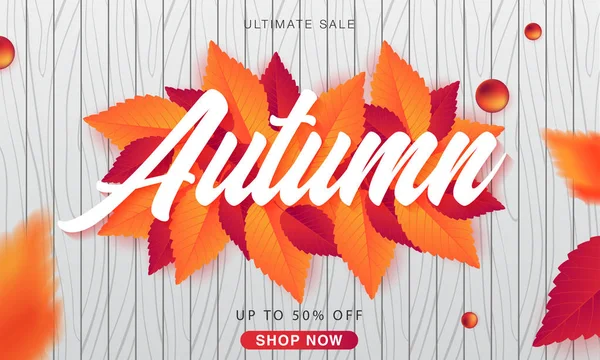 ahşap arka plan, vektör, illüstrasyon yaprakları ile sonbahar satışı büyük başlığı