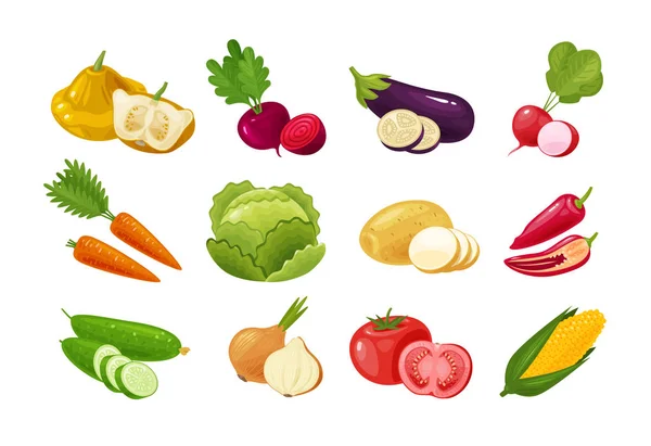 Vegetables Set Colored Icons Green Vegetable Garden Stuff Concept Vector — Stock Vector