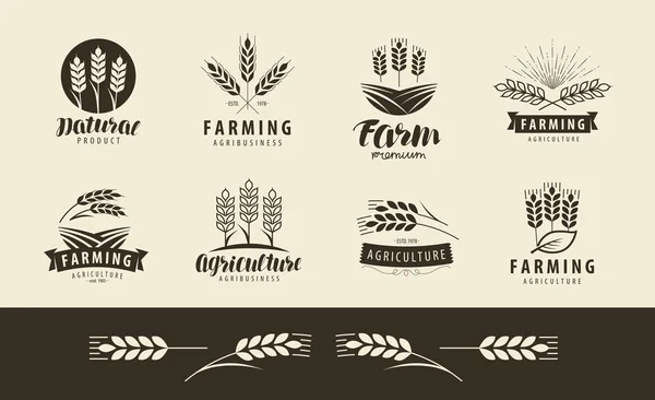 Agricultura, logotipo de trigo o etiqueta. Granja, la agricultura conjunto de iconos. Ilustración vectorial — Vector de stock