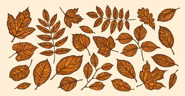 Φθινόπωρο Έννοια Διακοσμητικό Δέντρο Φύλλα Εικονογράφηση Διάνυσμα — Διανυσματικό Αρχείο