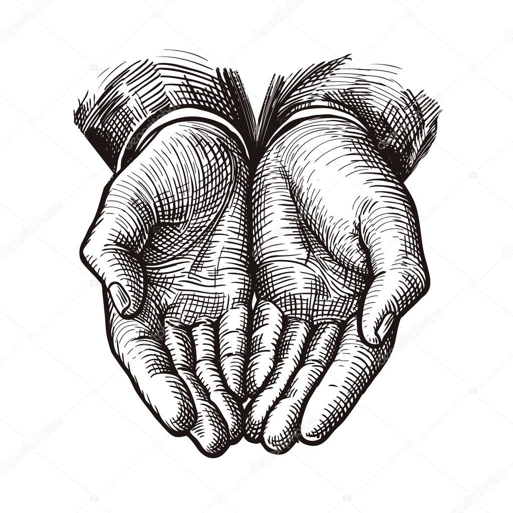 Folded arms, cupped or open hands sketch. Vintage vector illustration