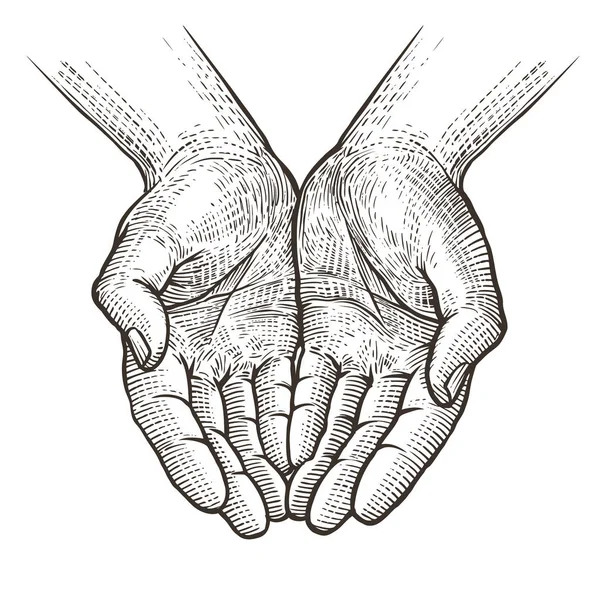 Featured image of post How To Draw Open Cupped Hands This will be done in a tutorial