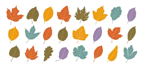 装飾的な葉を設定します 葉秋概念 白い背景で隔離の漫画ベクトル図 — ストックベクタ