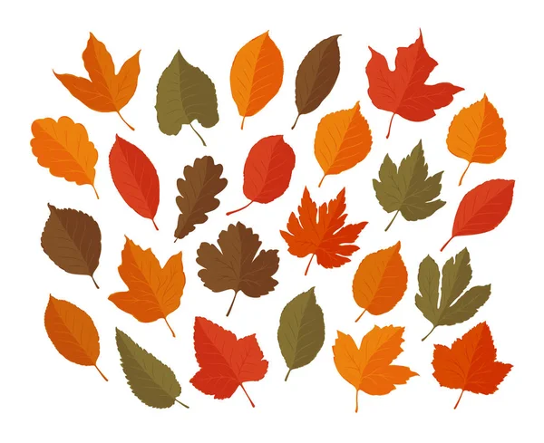 Decorative leaves, set. Autumn, leaf fall concept. Vector illustration — Stock Vector