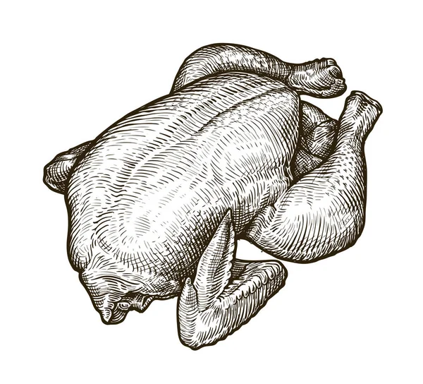 Kycklingkött Broiler Skiss Matkoncept Vintage Vektorillustration Isolerade Vit Bakgrund — Stock vektor