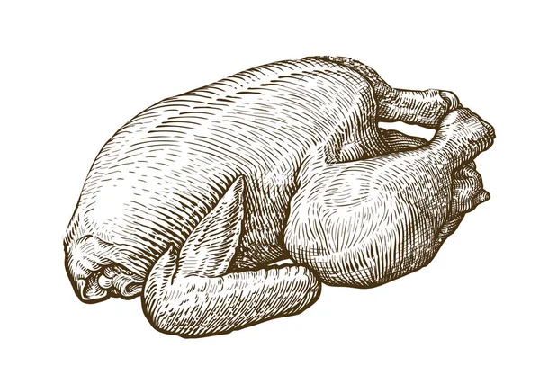 鸡肉, 肉鸡素描。食品、肉店概念。手绘复古矢量插图 — 图库矢量图片
