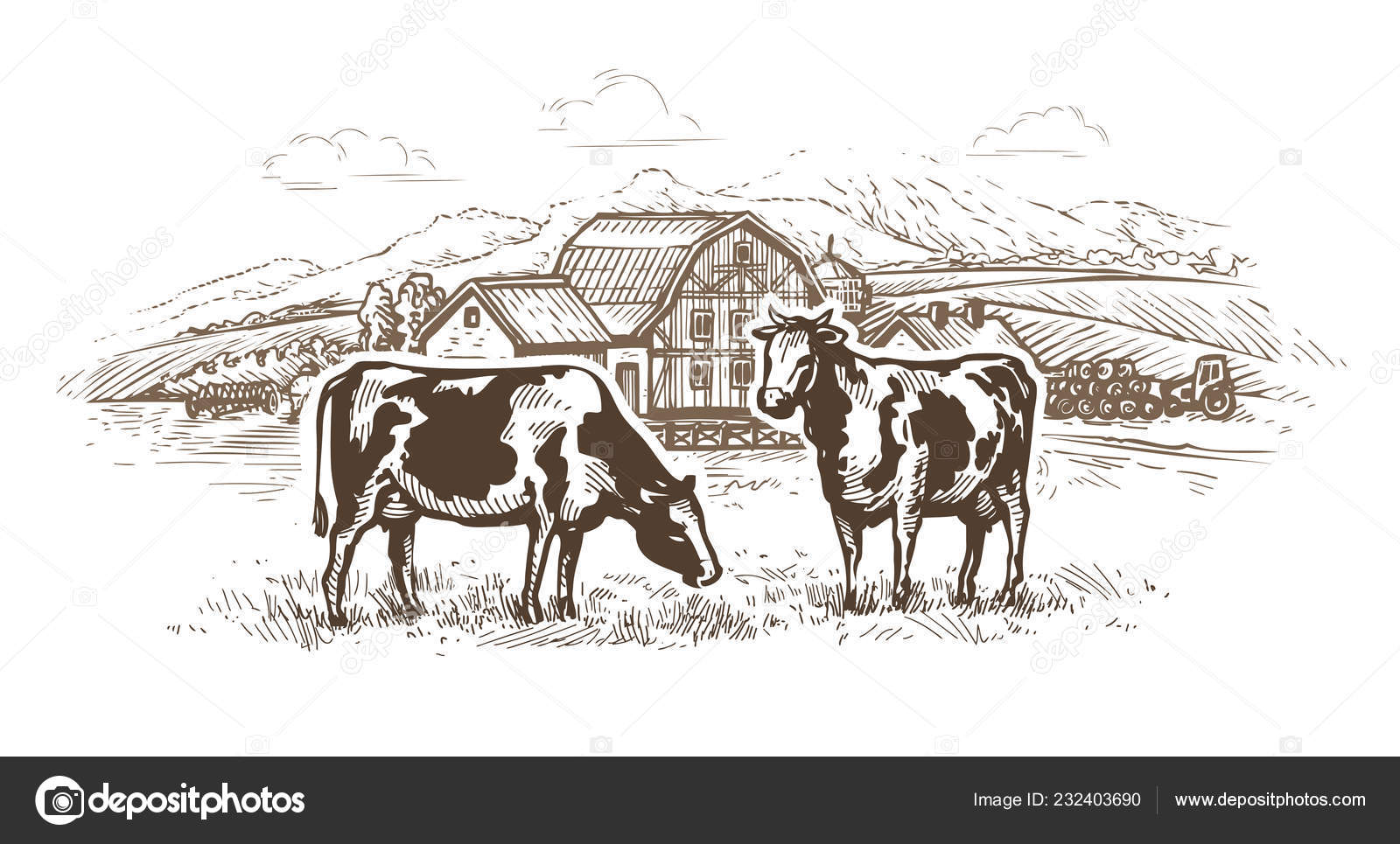 Dairy Farm Cows Graze Meadow Rural Landscape Village Sketch Stock