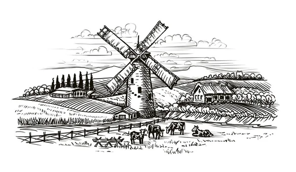 乡村景观 村庄素描 农业年份隔离在白色背景 — 图库照片