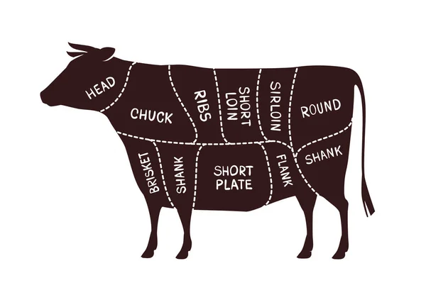 Esquema de corte de vacas. Carnicería, ilustración de vectores de carne — Vector de stock