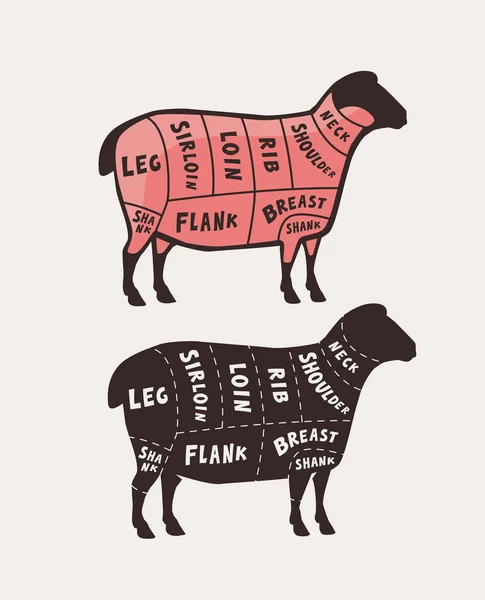 Et, kuzu eti. Poster kasap diyagramı ve şeması, vektör çizimi — Stok Vektör