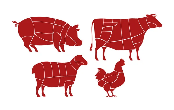Meat cutting scheme. Butcher shop concept. Farm animals vector — Stock Vector