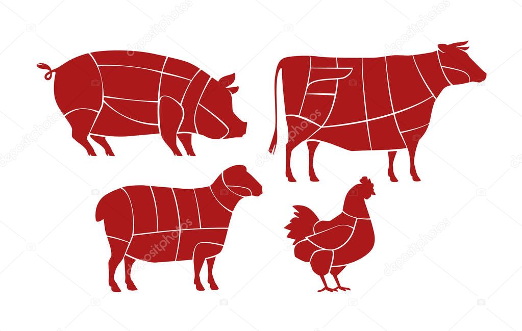Meat cutting scheme. Butcher shop concept. Farm animals vector