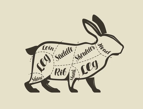 Styckning kanin kött. Meny för restaurang eller slakteributik. Vektor Vintage — Stock vektor
