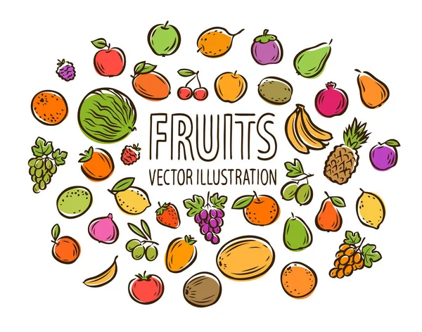 Set di frutta isolato su sfondo bianco. Illustrazione vettoriale — Vettoriale Stock