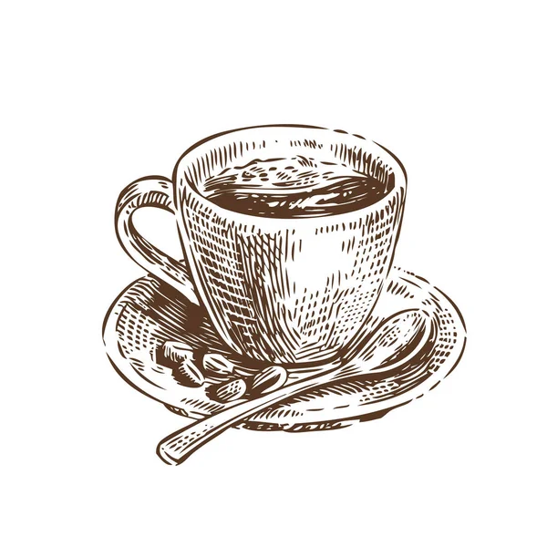 Kopp Kaffe Skiss Vintage Vektor Illustration — Stock vektor