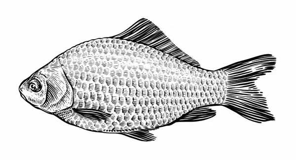 Balık Eli Çizimi Klasik Illüstrasyon — Stok fotoğraf