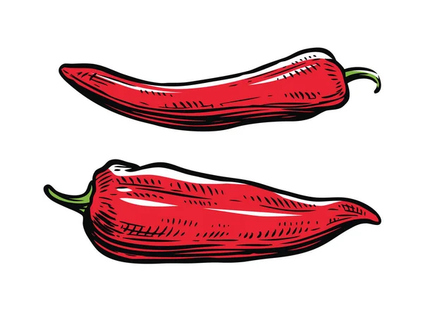 Κόκκινο Πιπέρι Culinary Καρύκευμα Φορέα Τροφίμων — Διανυσματικό Αρχείο
