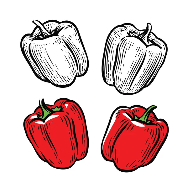 Rode Peper Culinair Kruiden Voedsel Vector Illustratie — Stockvector