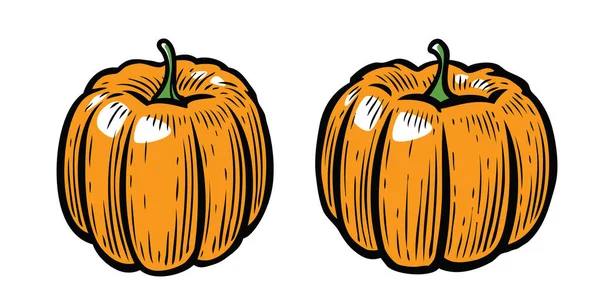 ハロウィーンのカボチャ 白い背景に孤立した漫画のベクトルイラスト — ストックベクタ