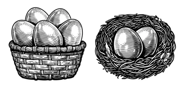 Курячі Яйця Кошику Гніздо Ферма Органічна Їжа Рука Намальована Ескіз — стоковий вектор